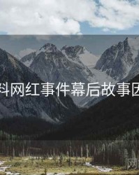 吃瓜爆料网红事件幕后故事因果梳理