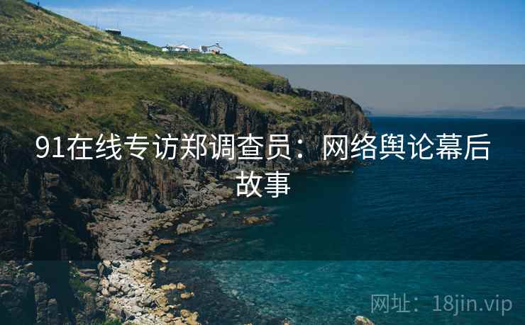 91在线专访郑调查员：网络舆论幕后故事