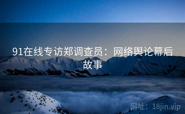 91在线专访郑调查员：网络舆论幕后故事