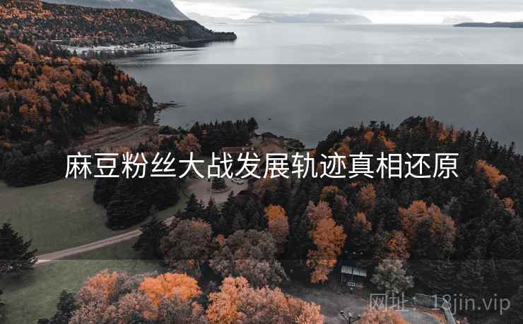 麻豆粉丝大战发展轨迹真相还原